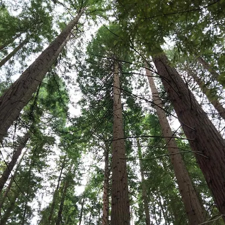 Διαμέρισμα El Mirador Del Valle, A 9 Min De Comillas