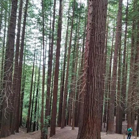 El Mirador Del Valle, A 9 Min De Διαμέρισμα Comillas