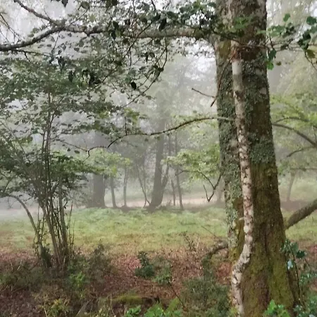 Διαμέρισμα El Mirador Del Valle, A 9 Min De