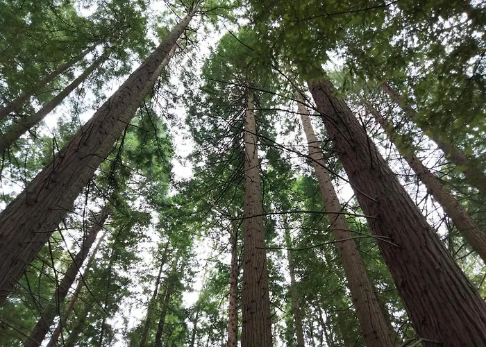 Appartement El Mirador Del Valle, A 9 Min De Comillas