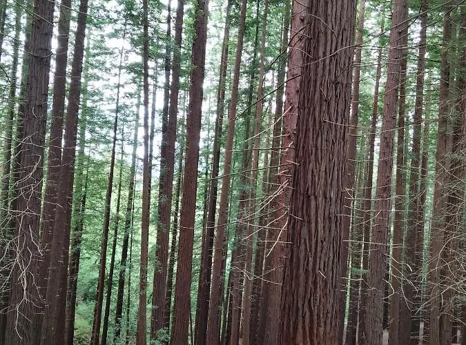 El Mirador Del Valle, A 9 Min De Apartment Comillas